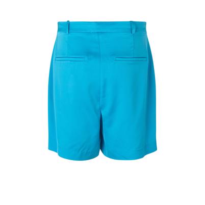 Cras Samy Shorts Swim Blue back